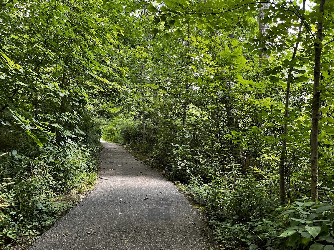 Sycamore Park Trail 